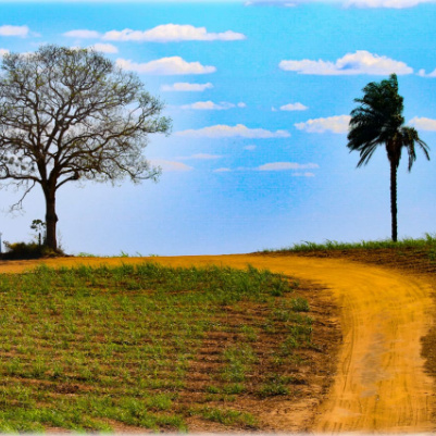 caminho-dos-mosteiro-capa1-home