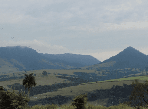Ipeuna paisagens 2 (489 × 362 px)