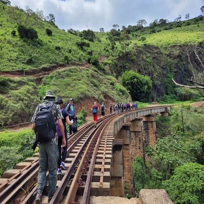 Trilha no Trilho Capa